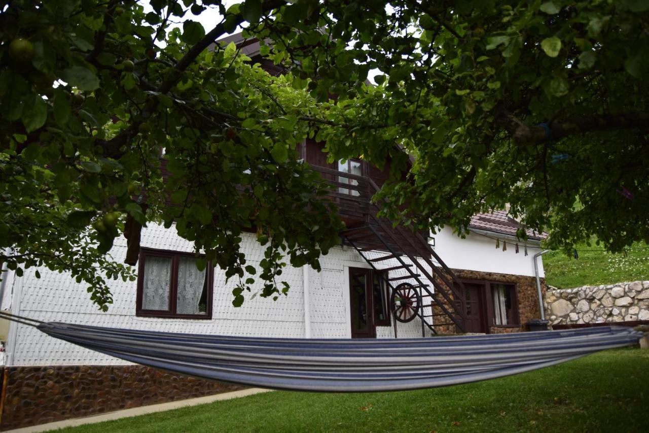 Hotel Cabana Colnic à Măgura Extérieur photo