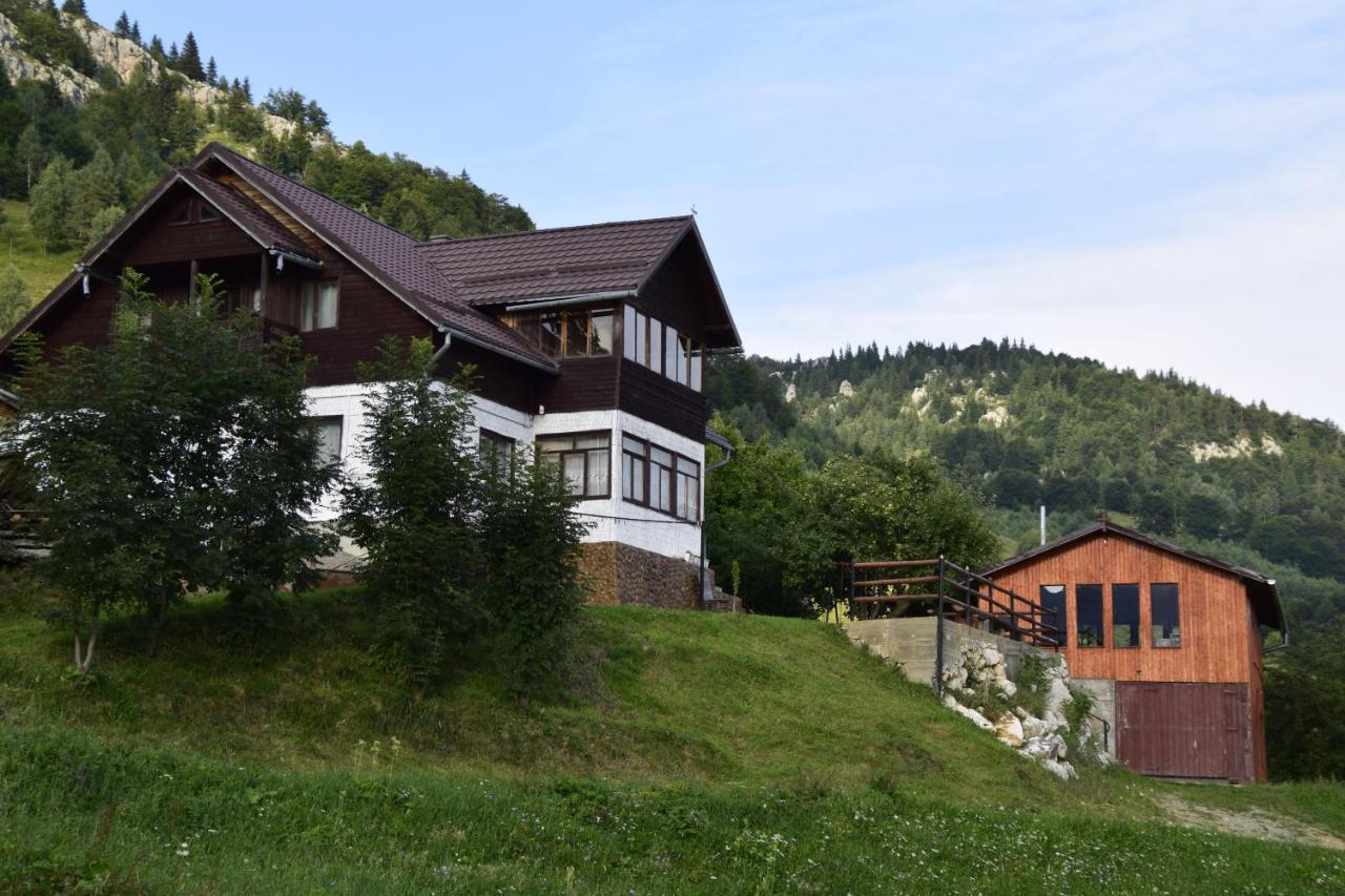 Hotel Cabana Colnic à Măgura Extérieur photo