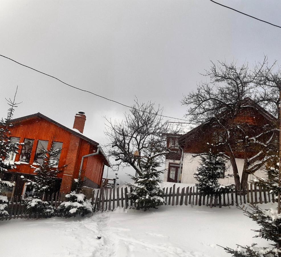 Hotel Cabana Colnic à Măgura Extérieur photo