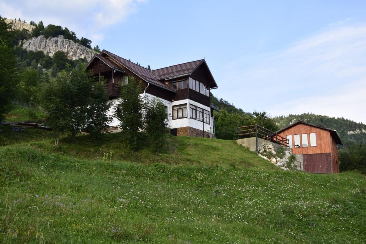 Hotel Cabana Colnic à Măgura Extérieur photo